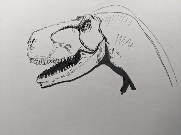 Oliver Player - 7Yrs - T-Rex Trouble
